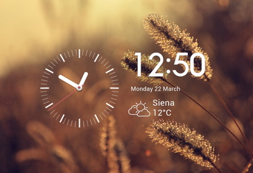 Neat Widget 3